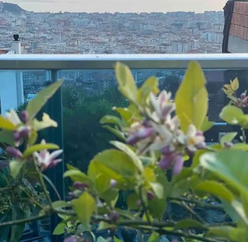 Villa, Alanya, Antalya *