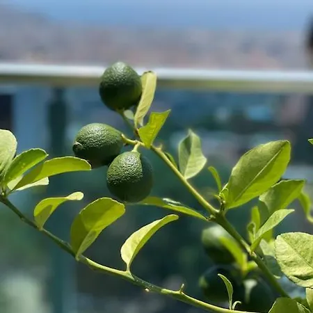 Willa Villa, Alanya, Antalya *